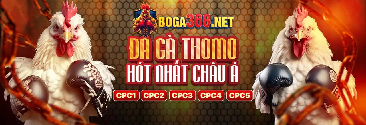 Các chương trình khuyến mãi hấp dẫn từ Dabet88 nhà cái