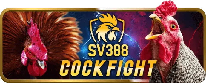 Ưu Đãi Hấp Dẫn Dabet88